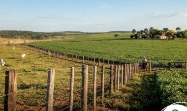 Morador de Figueirópolis D'Oeste Protocoliza Ação de Usucapião de 24 Hectares