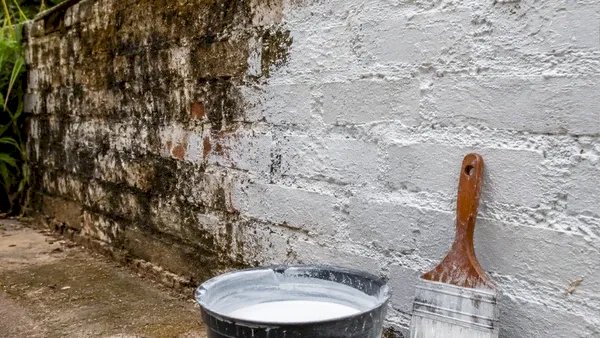 Caiação: A Solução Eficaz para Proteger Muros de Umidade e Pragas