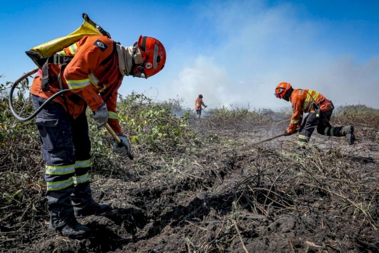 Corpo de Bombeiros Combate Incêndios Florestais em Seis Municípios de MT