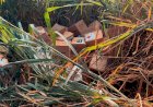 PM recupera 148 litros de defensivos agrícolas furtados de fazenda em General Carneiro