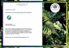 Sicredi Araxingu neutraliza mais de 435 toneladas de carbono