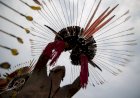 APIB lança Campanha Indígena 2024 com chamado de apoio à agenda indígena