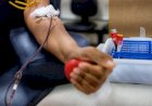 Banco de Sangue de Barra do Garças precisa de doações com urgência