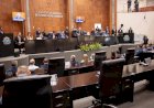 Governo do Estado investe R$ 817 milhões na agricultura familiar e amplia presença técnica em todo o Estado