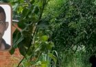 Jovem é encontrado morto com mãos e pés amarrados dentro de casa em MT