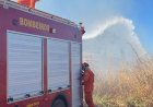 Bombeiros controlam incêndio em vegetação às margens da Rota do Leite, em Água Boa