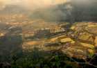 Força-tarefa reduz em 97% novos alertas de desmatamento na Terra Indígena Sararé
