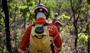 Corpo de Bombeiros extingue três incêndios e combate outros 49 nesta segunda-feira (09)
