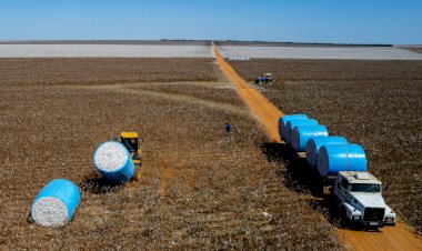 PIB de Mato Grosso registra a maior variação percentual do país e cresce mais de 1.230% em 20 anos