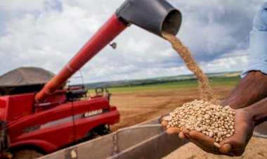 Safra americana pode sofrer com inverno e abre oportunidades para MT, diz especialista