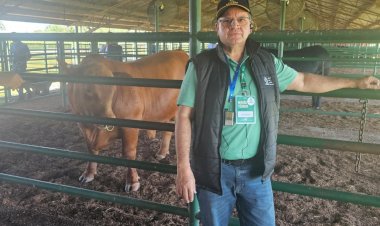 Missão técnica da Famato nos Estados Unidos busca inovação para fortalecer a pecuária de Mato Grosso