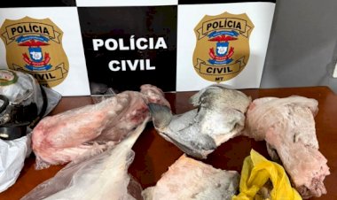 Homem é preso em blitz ao ser flagrado transportando rabos de jacaré e pescados em Canarana