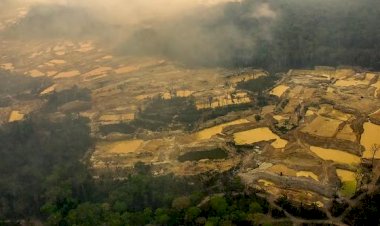 Força-tarefa reduz em 97% novos alertas de desmatamento na Terra Indígena Sararé