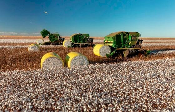 Governo de MT prorroga diferimento do ICMS para fertilizantes e mantém benefício até dezembro de 2026