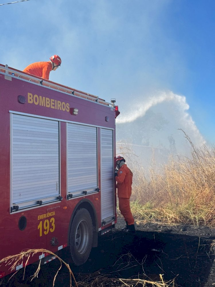 Bombeiros controlam incêndio em vegetação às margens da Rota do Leite, em Água Boa