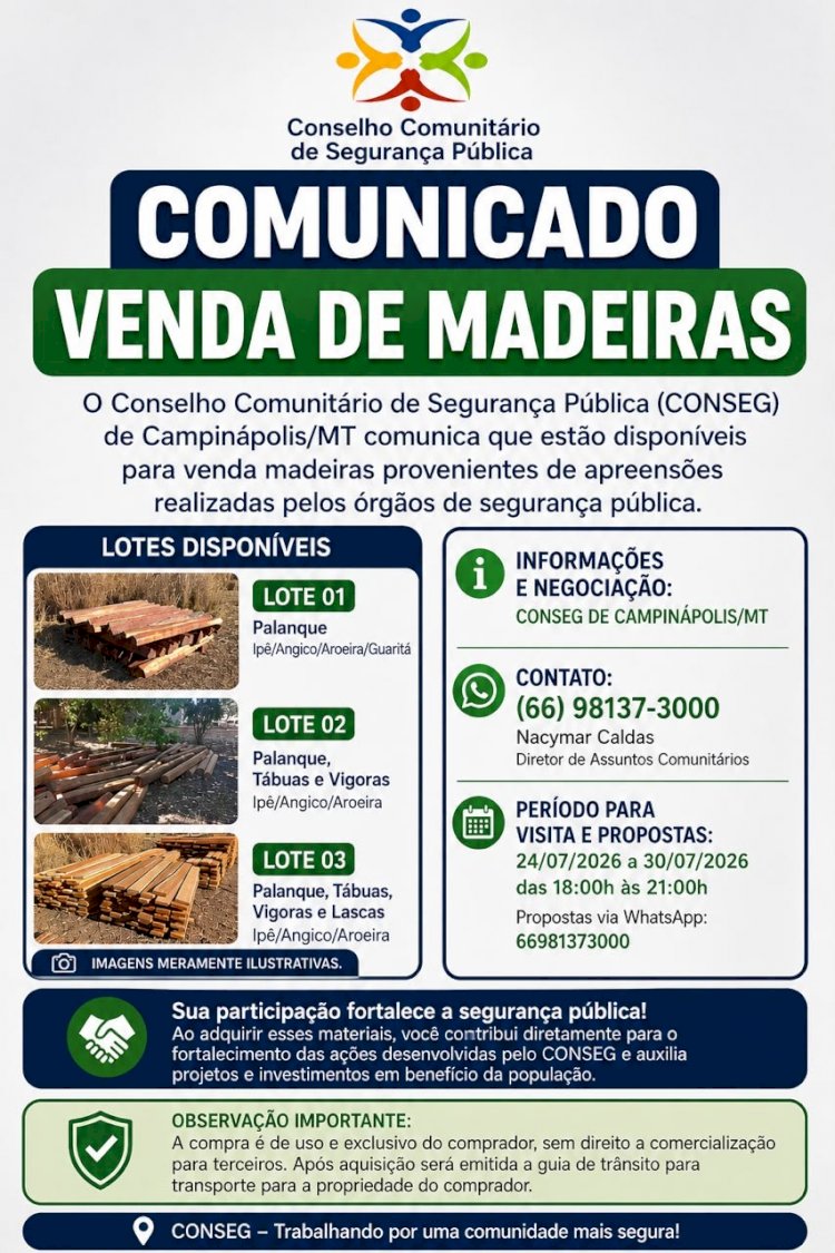 CONSEG de Campinápolis disponibiliza lotes de madeiras apreendidas para venda